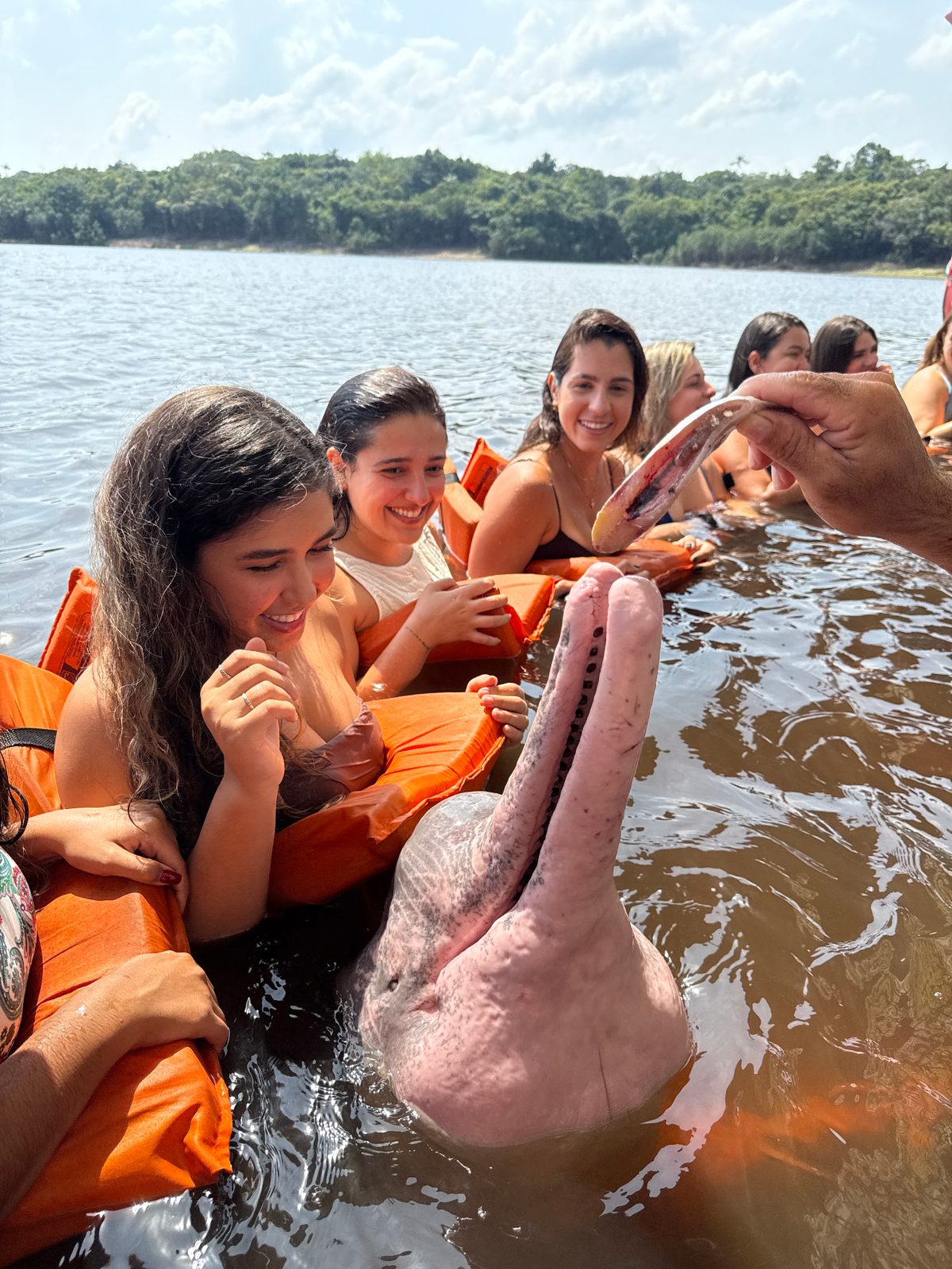 Amazônia - AM